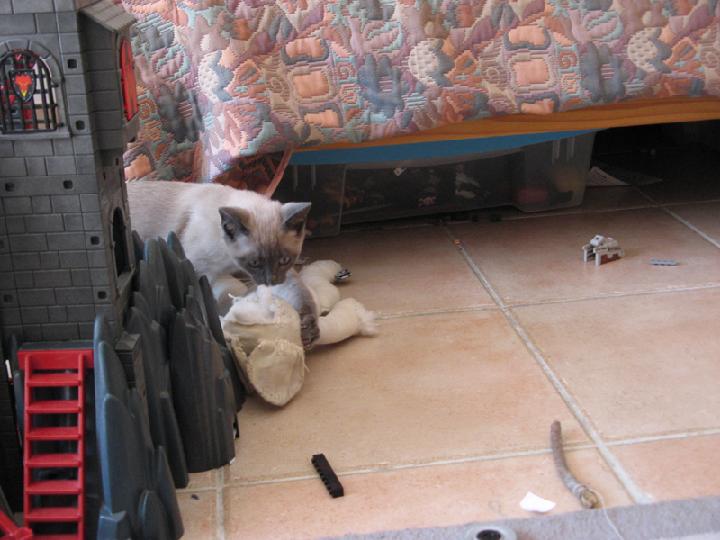 2007-03 Saphir 004.jpg